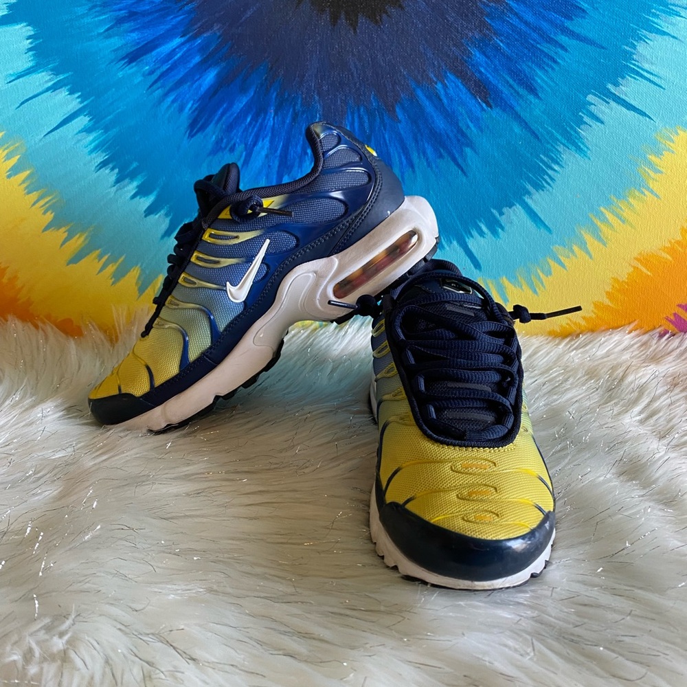Nike air max plus